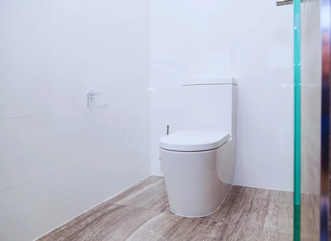 Remplacement de wc Reichshoffen
